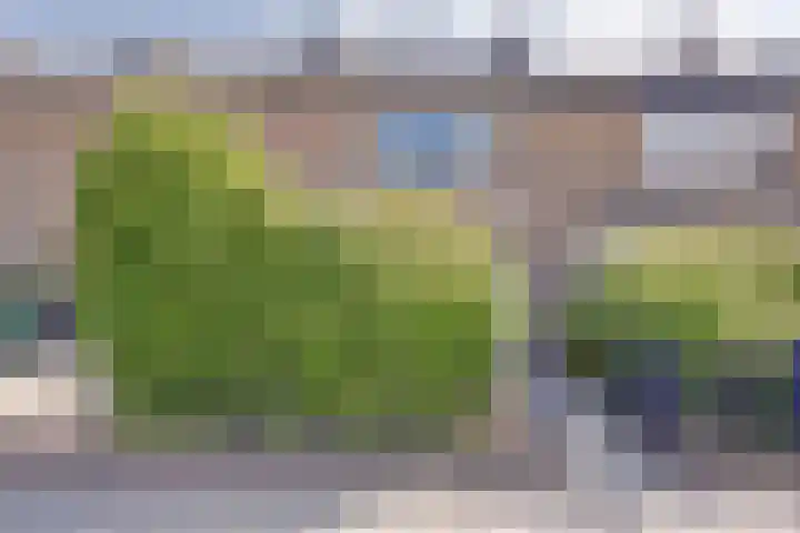 Julianastraat 93 Strijen thumbnail 4