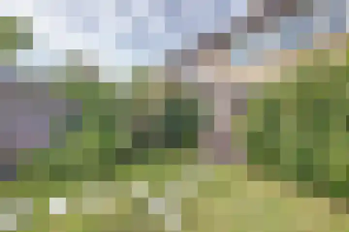 Julianastraat 93 Strijen thumbnail 40