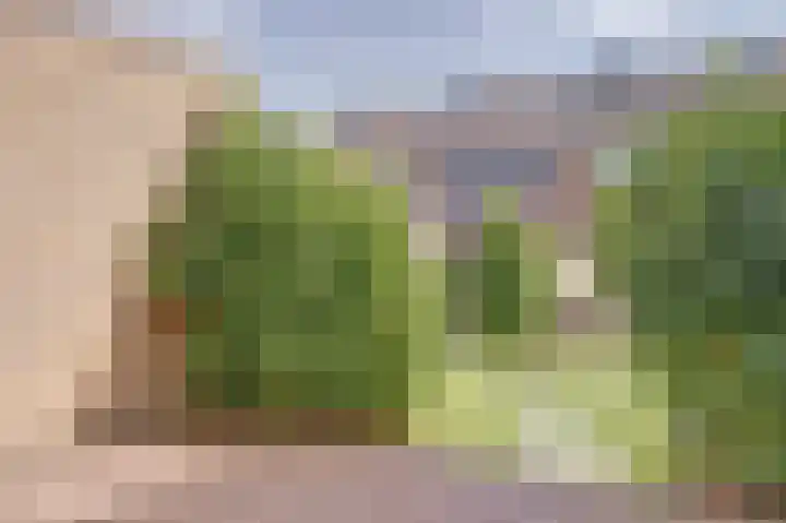 Julianastraat 93 Strijen thumbnail 41