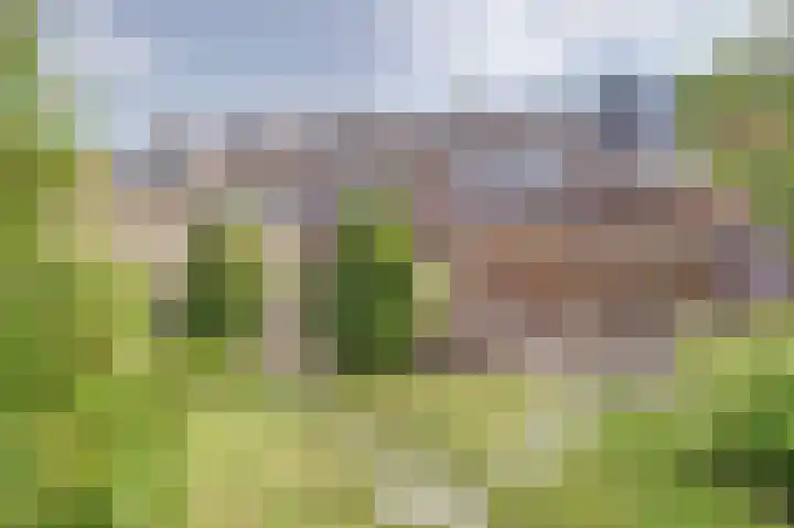 Julianastraat 93 Strijen thumbnail 42