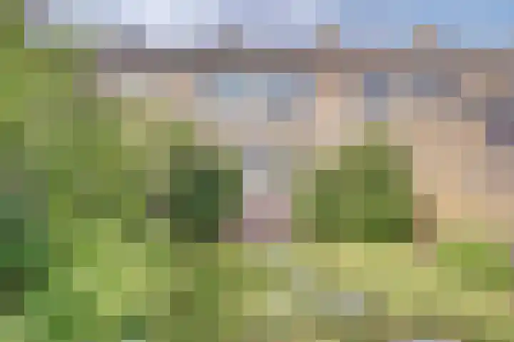 Julianastraat 93 Strijen thumbnail 43