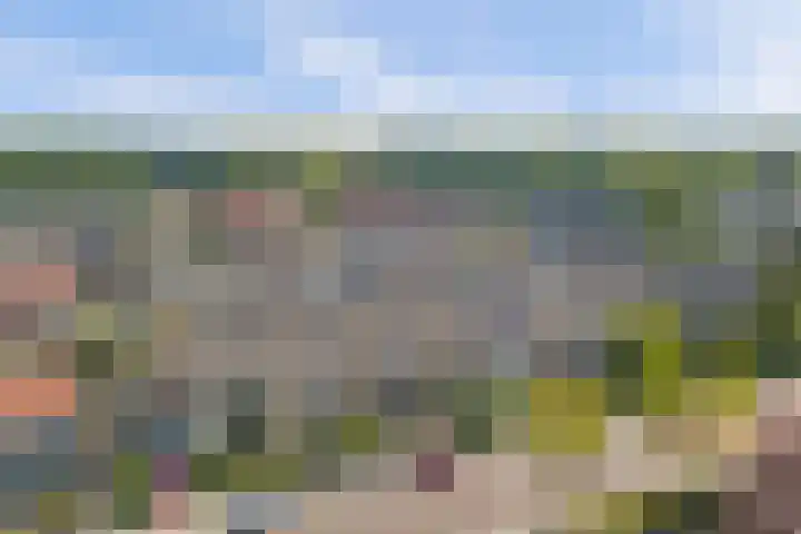 Julianastraat 93 Strijen thumbnail 45