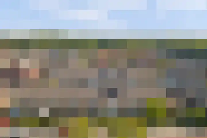 Julianastraat 93 Strijen thumbnail 46