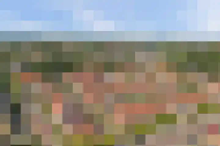 Julianastraat 93 Strijen thumbnail 47