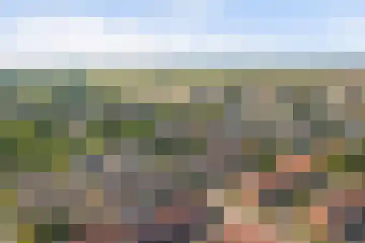 Julianastraat 93 Strijen thumbnail 48