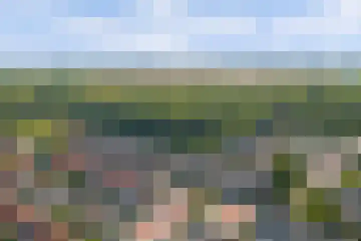 Julianastraat 93 Strijen thumbnail 49
