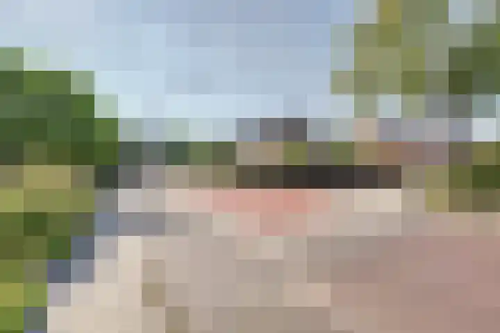 Julianastraat 93 Strijen thumbnail 5