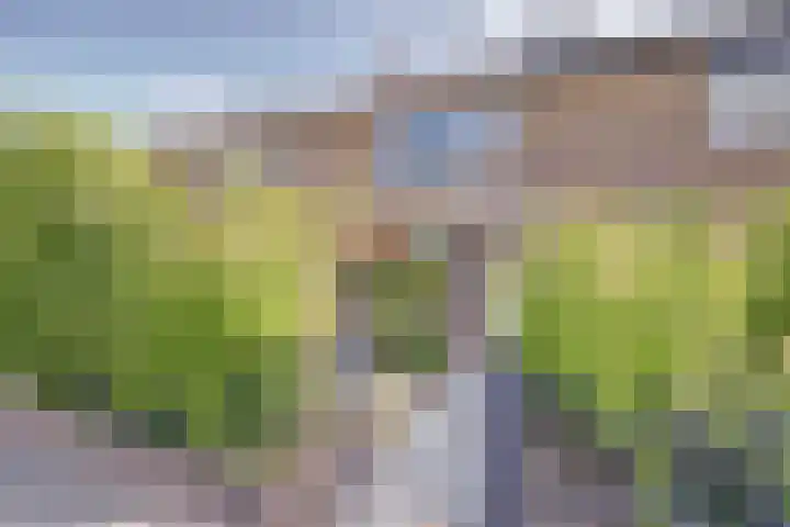Julianastraat 93 Strijen thumbnail 56