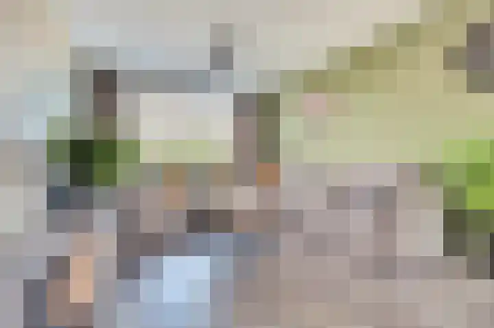 Julianastraat 93 Strijen thumbnail 6
