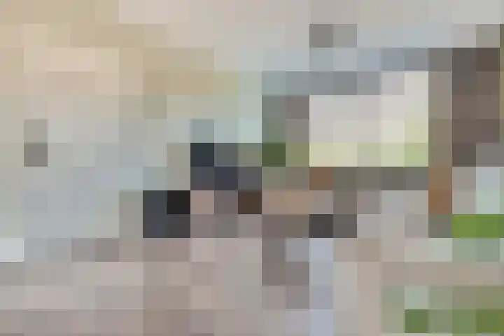 Julianastraat 93 Strijen thumbnail 7