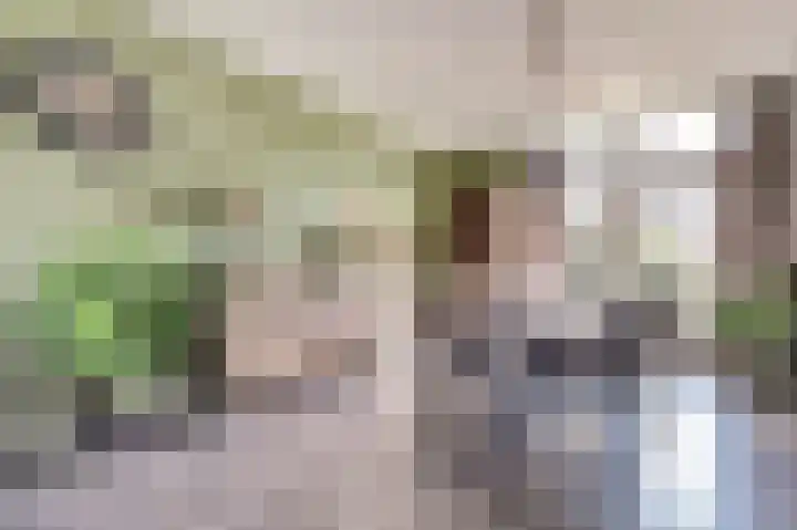 Julianastraat 93 Strijen thumbnail 8