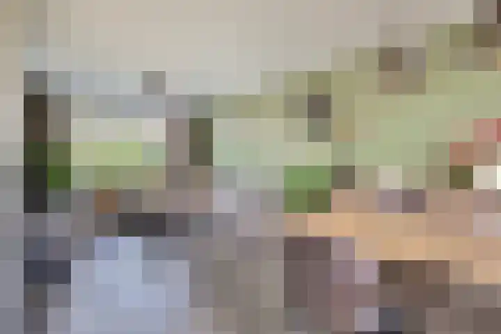 Julianastraat 93 Strijen thumbnail 9