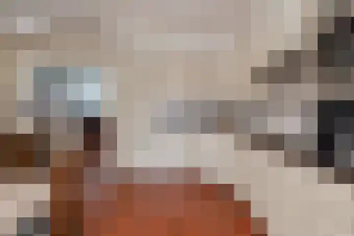 Julianastraat 94 Hoogezand thumbnail 17