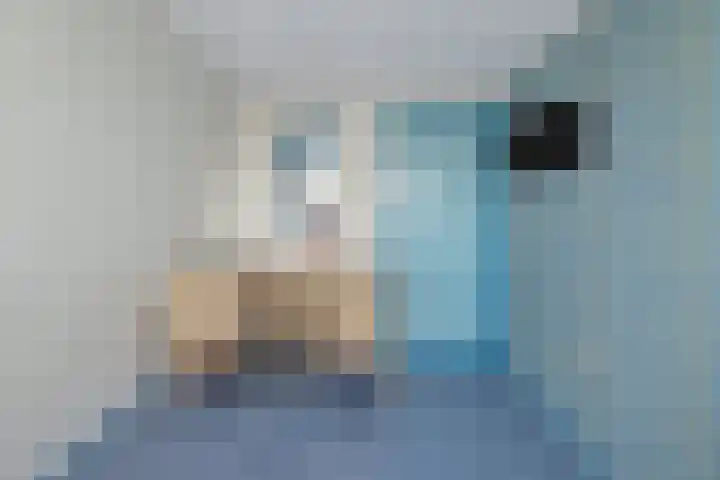 Julianastraat 94 Hoogezand thumbnail 27