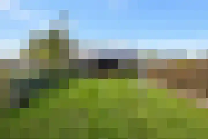 Julianastraat 94 Hoogezand thumbnail 41