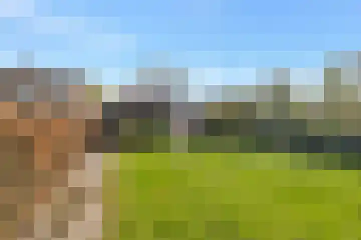 Julianastraat 94 Hoogezand thumbnail 46