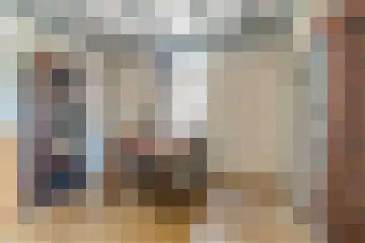 Julianastraat 94 Rijen thumbnail 13