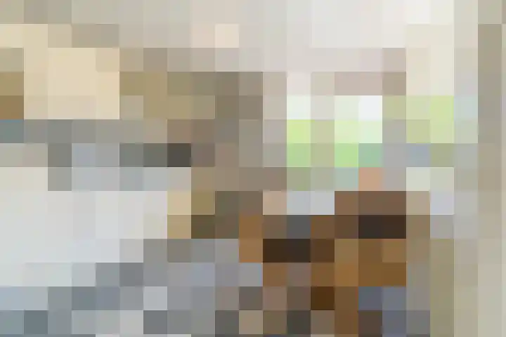 Julianastraat 94 Rijen thumbnail 15