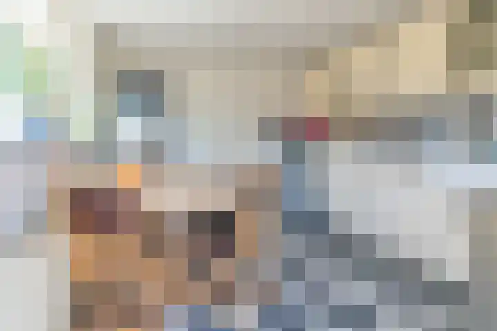 Julianastraat 94 Rijen thumbnail 18