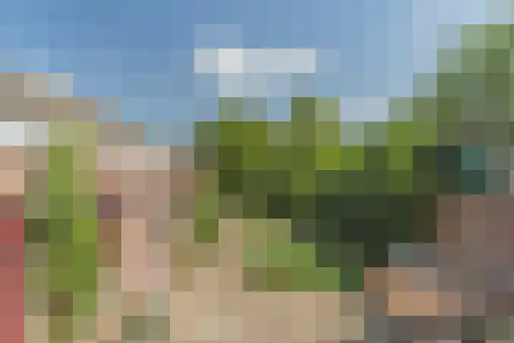 Julianastraat 94 Rijen thumbnail 22