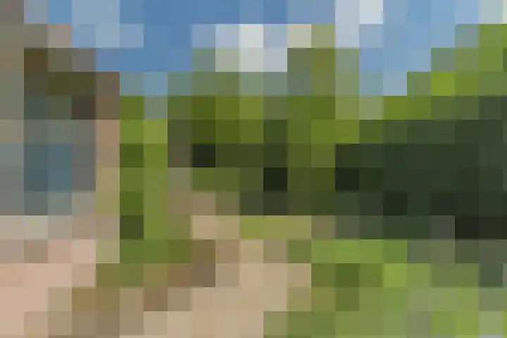 Julianastraat 94 Rijen thumbnail 23