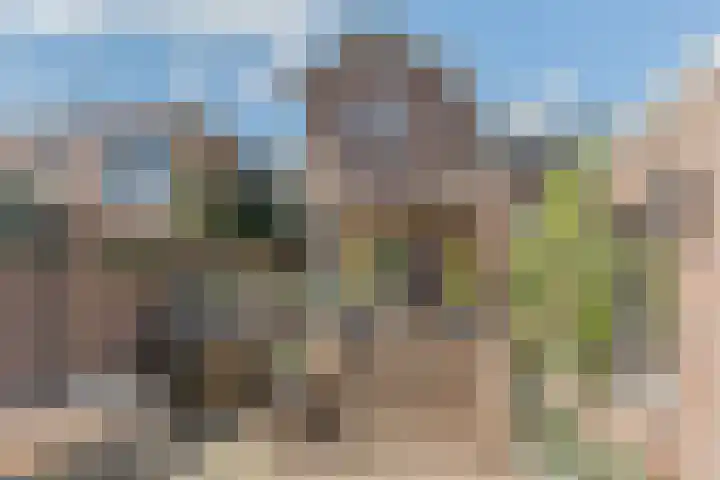 Julianastraat 94 Rijen foto 3