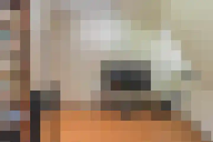 Julianastraat 94 Rijen thumbnail 36