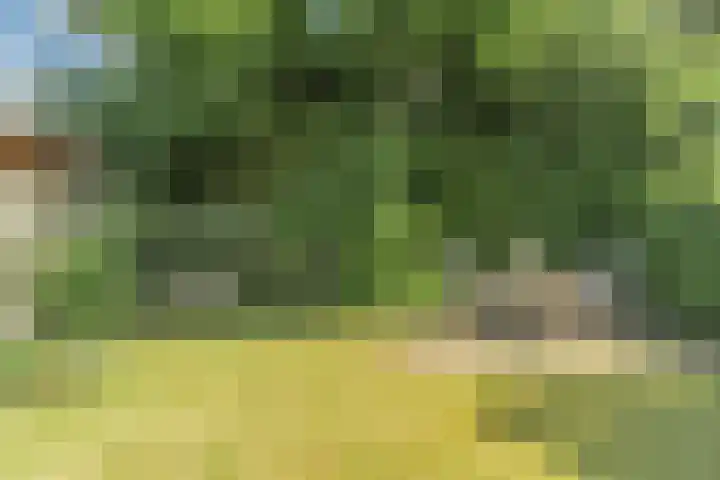 Julianastraat 94 Rijen thumbnail 4