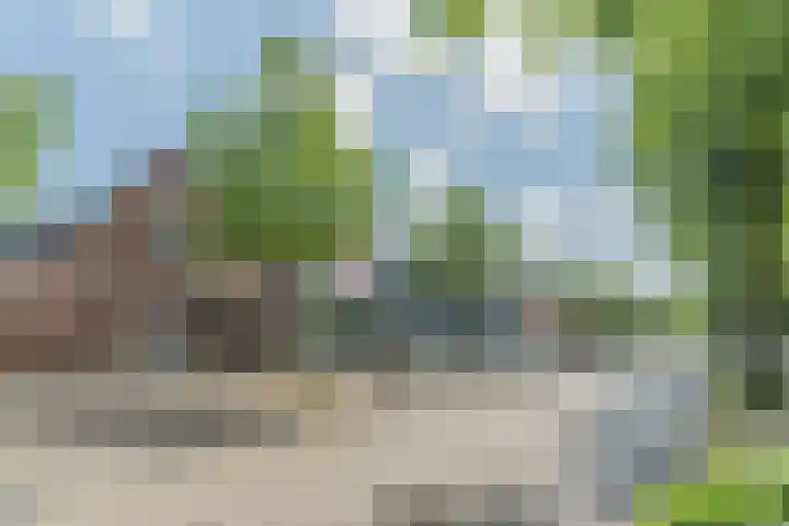 Julianastraat 94 Rijen thumbnail 43