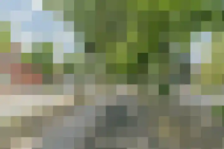 Julianastraat 94 Rijen thumbnail 45