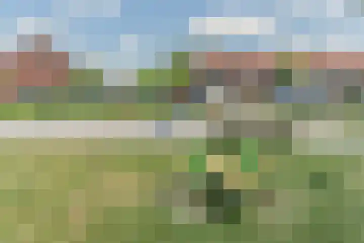 Julianastraat 94 Rijen thumbnail 46