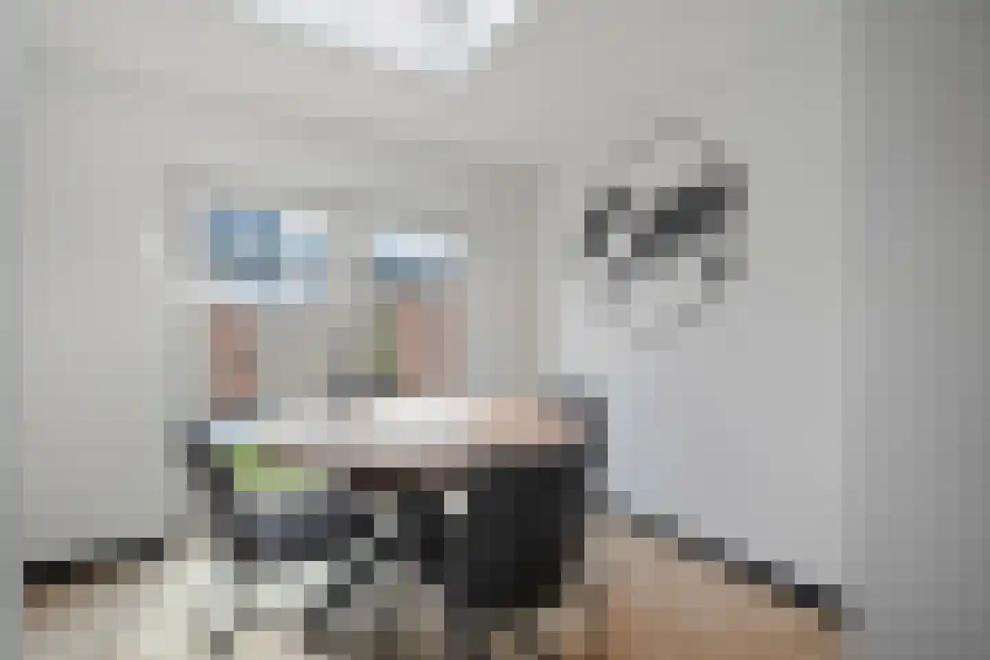 Julianastraat 94 't Zand thumbnail 15