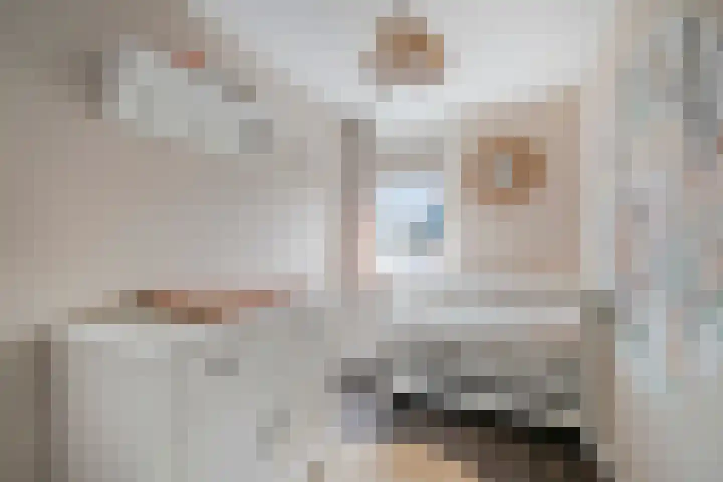 Julianastraat 94 't Zand thumbnail 33