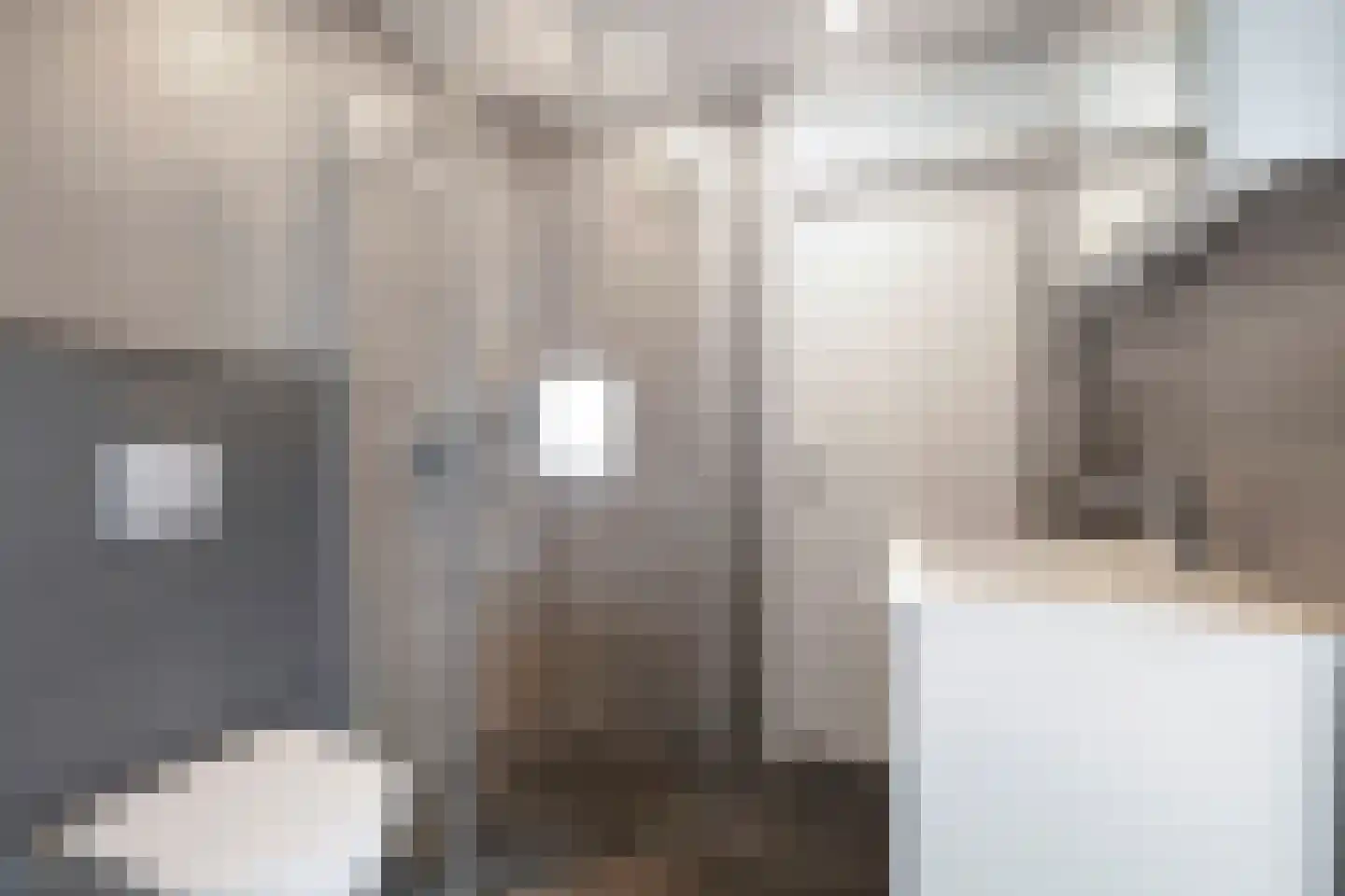 Julianastraat 94 't Zand thumbnail 36