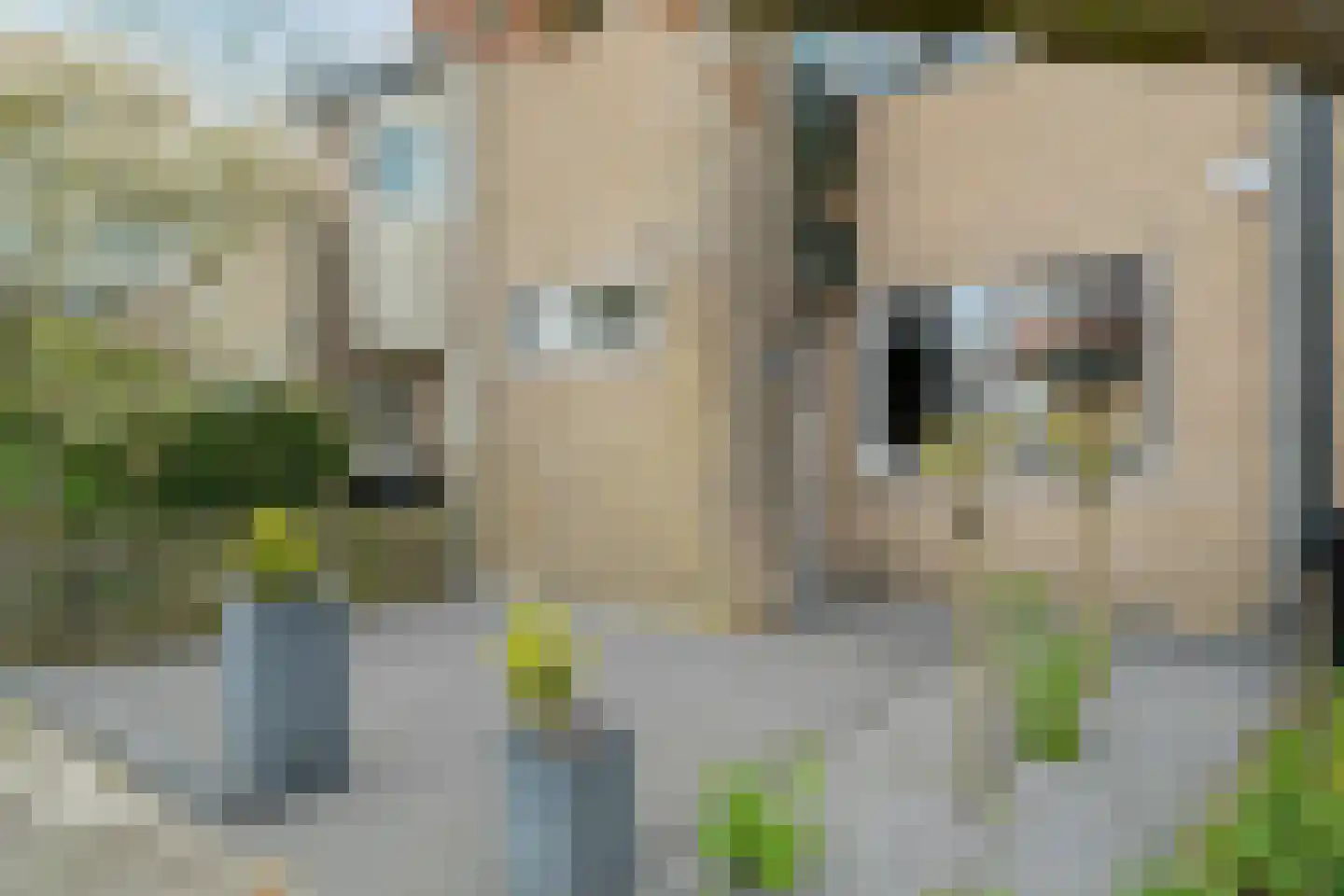 Julianastraat 94 't Zand thumbnail 6