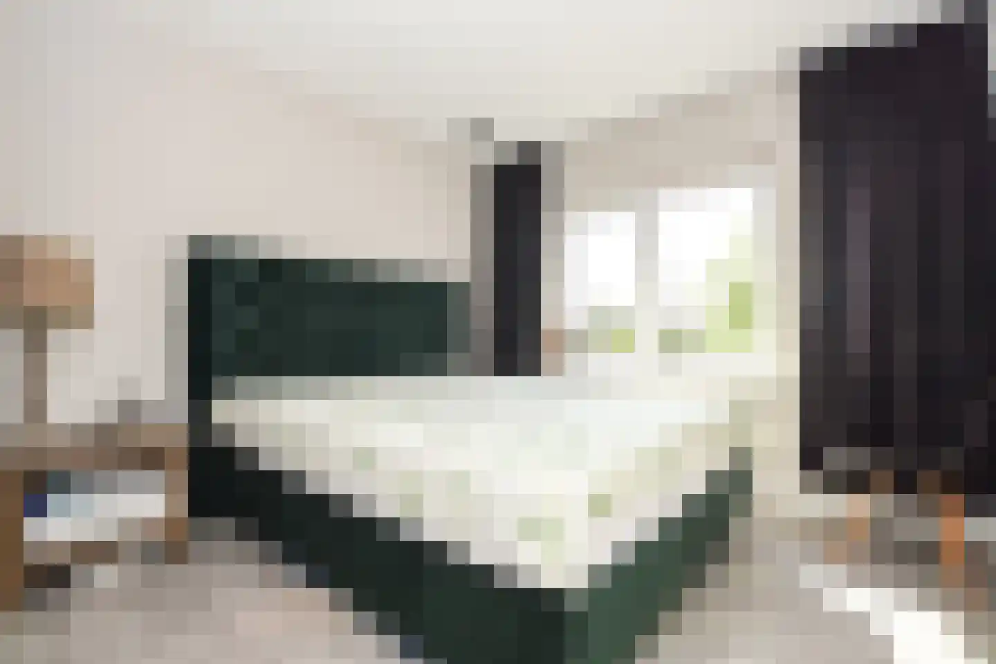 Julianastraat 97 Axel thumbnail 10