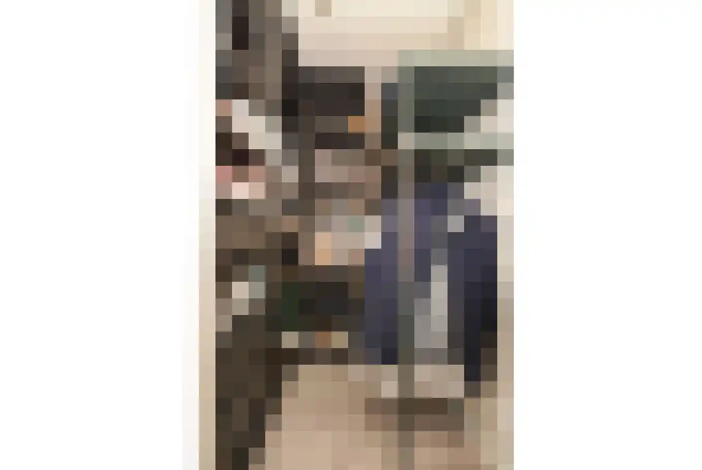 Julianastraat 97 Axel thumbnail 11