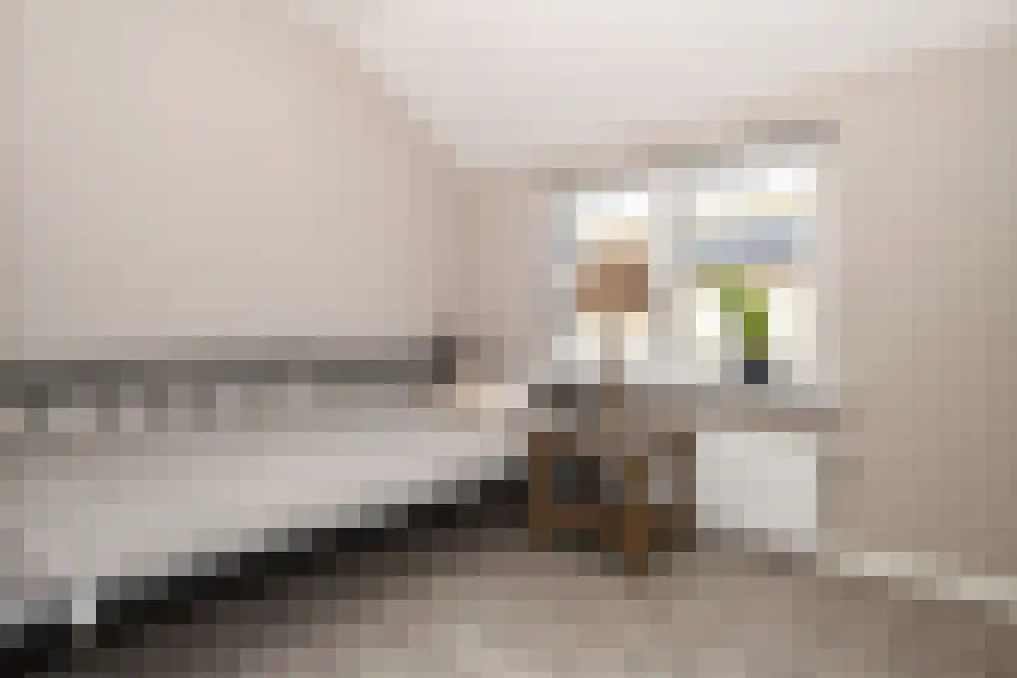 Julianastraat 97 Axel thumbnail 12