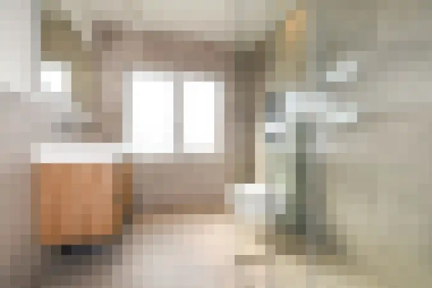 Julianastraat 97 Axel thumbnail 14