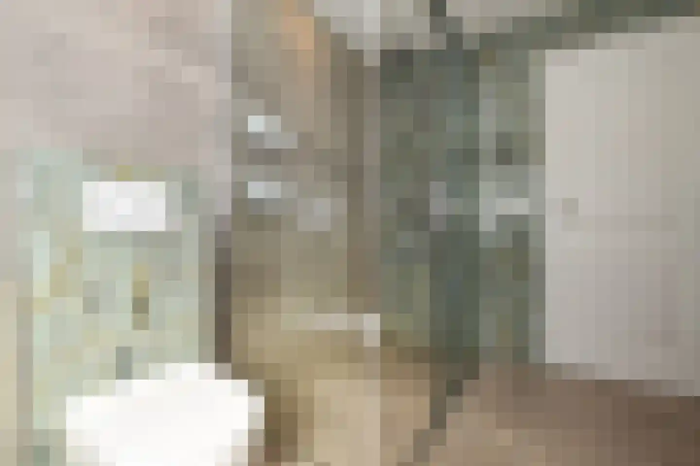 Julianastraat 97 Axel thumbnail 15