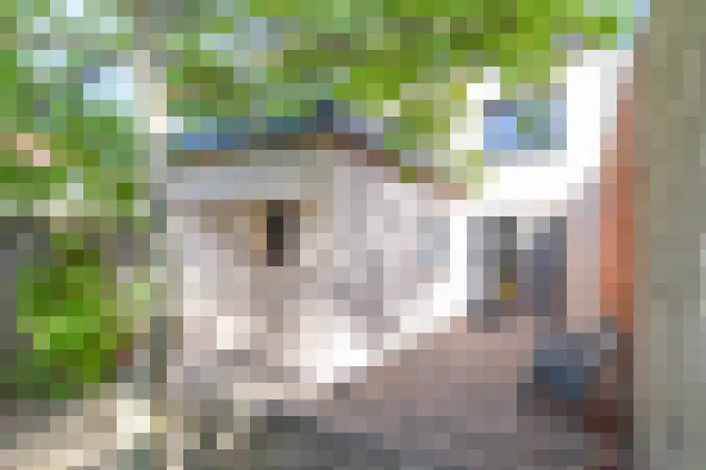 Julianastraat 97 Axel thumbnail 16
