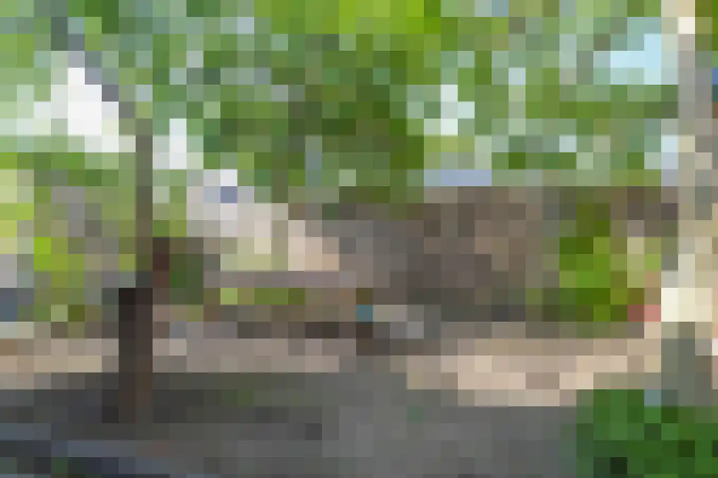 Julianastraat 97 Axel thumbnail 17