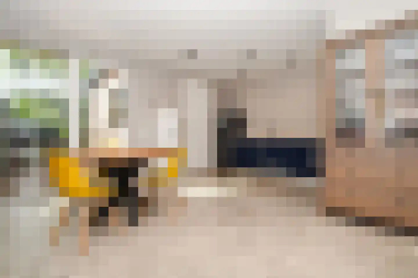 Julianastraat 97 Axel thumbnail 4