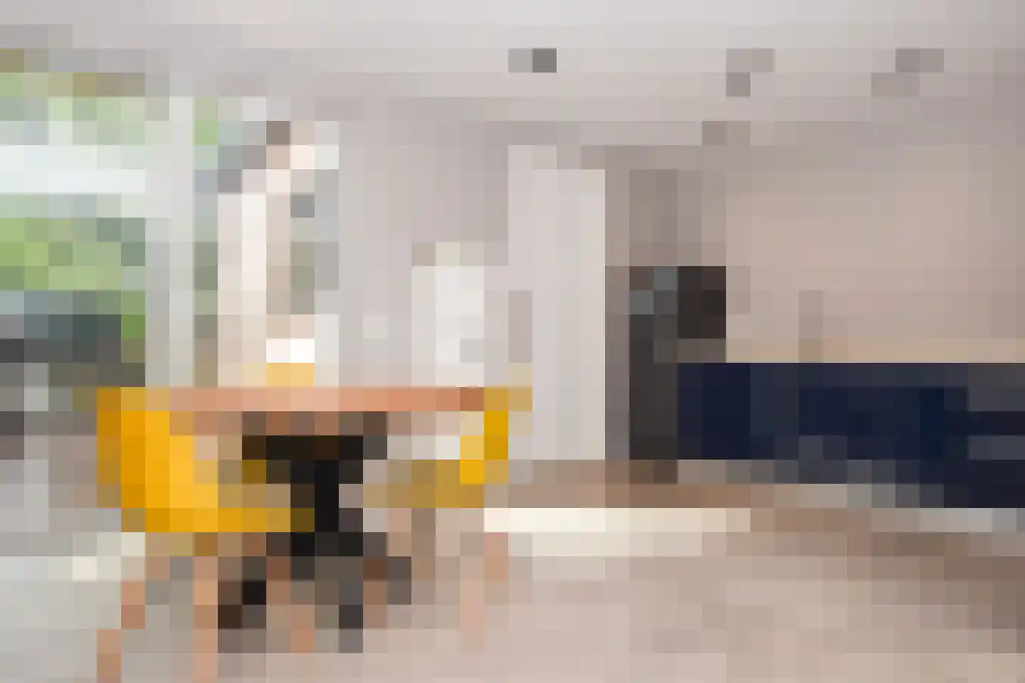 Julianastraat 97 Axel thumbnail 5
