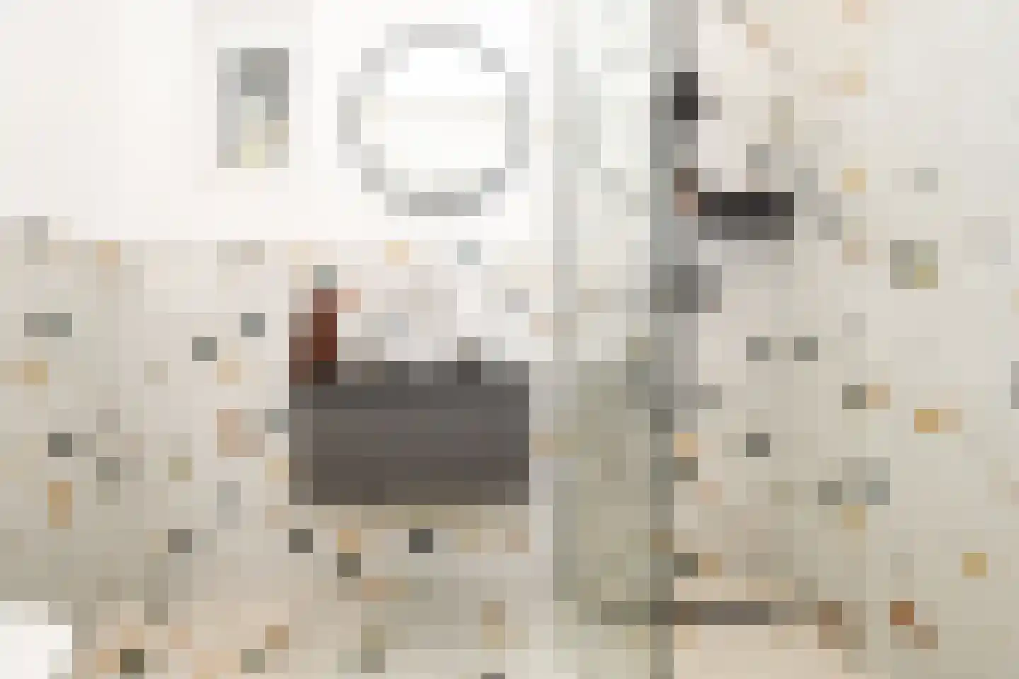 Julianastraat 97 Axel thumbnail 8