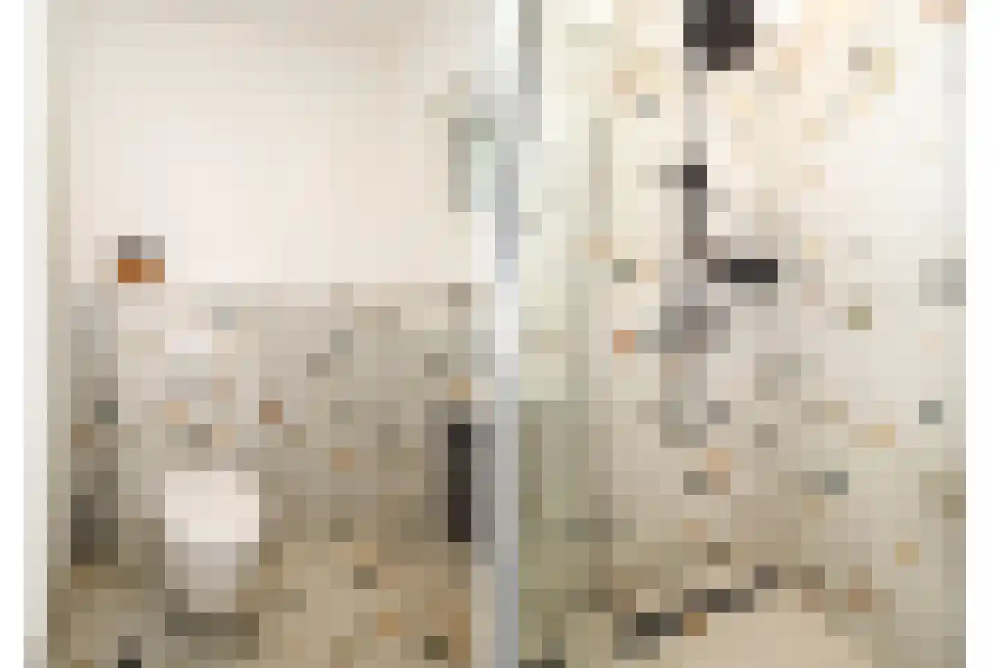 Julianastraat 97 Axel thumbnail 9