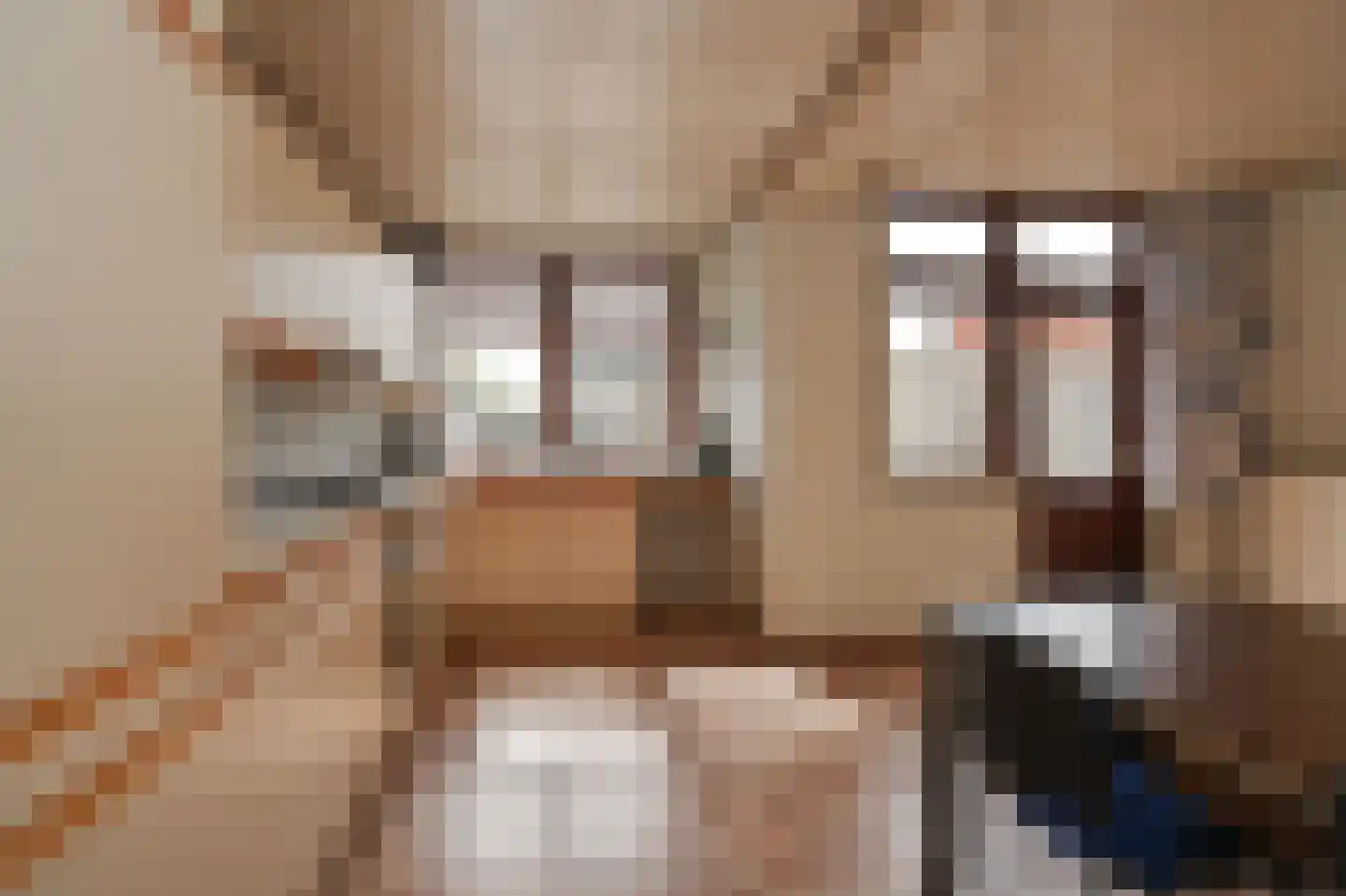 Julianastraat 98 Groot-Ammers thumbnail 12