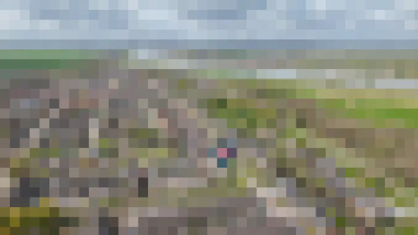 Julianastraat 98 Groot-Ammers thumbnail 41