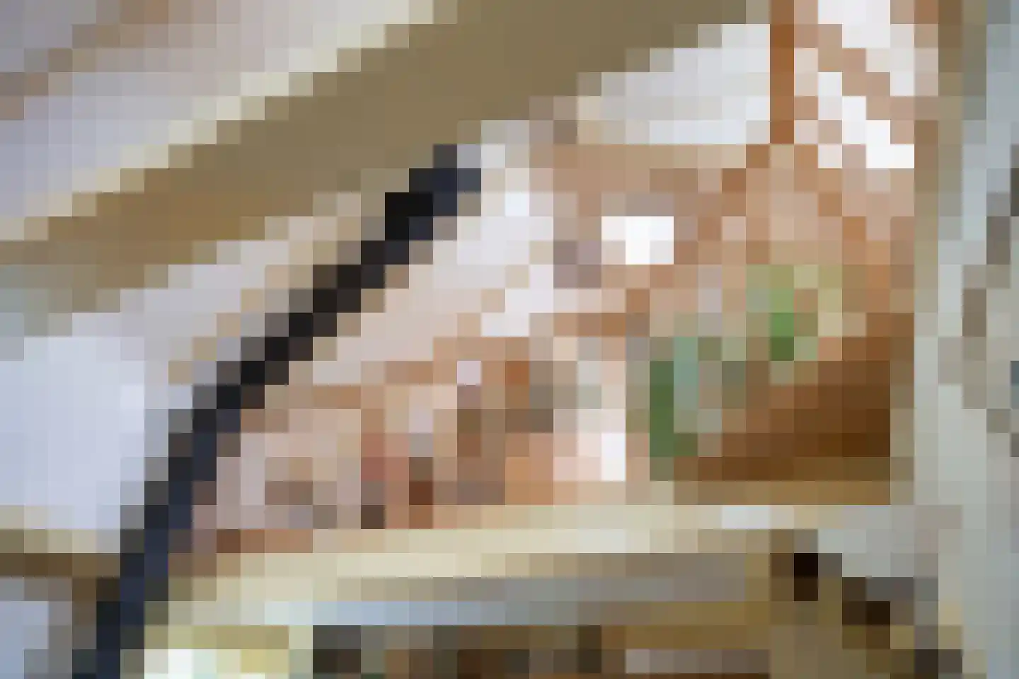Julianatocht 1 Kloosterburen thumbnail 14