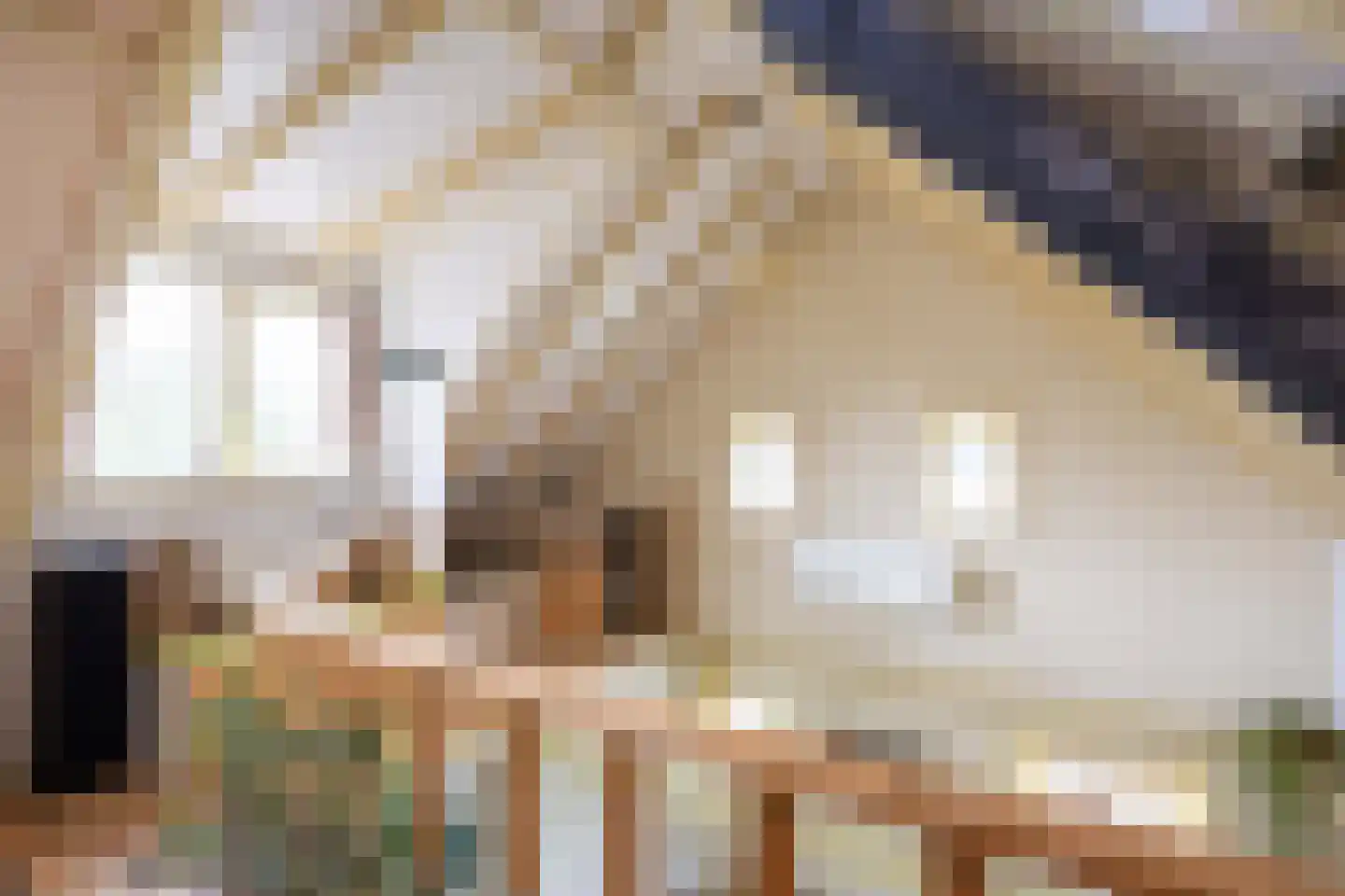 Julianatocht 1 Kloosterburen thumbnail 22